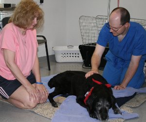 Photo of Ralph being treated with Acupuncture